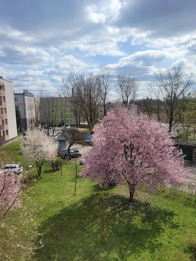 Gabinet Psychoterapii Aleksandra Wincz- Gajda